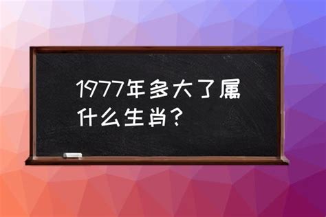 1977 属什么